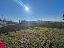 Terreno 7000 mq, zona Longiano