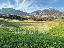 Terreno 49000 mq