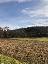 Terreno 3632 mq, zona San Biagio