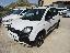 FIAT Panda 1.0 FireFly S&S Hybrid City Cross