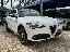 ALFA ROMEO Stelvio 2.2 T.diesel 210 CV AT8 Q4 Sp.Ed