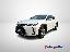 LEXUS UX Hybrid Business