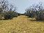 Terreno 14000 mq