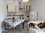 Appartamento 75 mq, 2 camere, zona Mestre