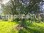 Terreno 7362 mq, zona Altavilla Milicia