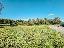 Terreno 3500 mq