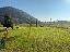 Terreno 5000 mq, zona Tramonte