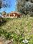 Villa in Vendita a Sarzana
