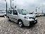 RENAULT Kangoo 1.5 dCi 90 CV 5p. Limited