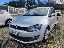 VOLKSWAGEN Polo 1.2 TDI 5p. Comfortline