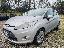 FORD Fiesta 1.2 82 CV 5p. Titanium