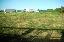 Terreno 3225 mq