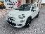 FIAT 500X 1.6 E-Torq 110 CV City Cross