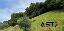 Terreno in Vendita a Marostica