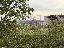 Appartamento 101 mq, soggiorno, 2 camere, zona Campo di Marte / Le Cure / Coverciano