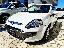 FIAT Punto Evo 1.4 5p. Active GPL