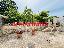 Appartamento 220 mq, soggiorno, 4 camere, zona San Cesario di Lecce