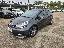 KIA Rio 1.4 CRDi 5p. Cool