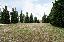 Terreno 138000 mq, zona Pianoro Vecchio