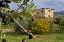 Rustico 312 mq, soggiorno, 3 camere, zona Fontisterni