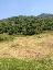 Terreno 800 mq, zona Vallio Terme
