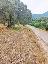 Terreno 4930 mq, zona Palombara Sabina
