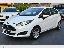 FORD Fiesta 1.5 TDCi 75 CV 5p. Business N1