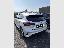 FORD Focus 1.0 EcoB.Hybrid 155CV Pow.5p.STL.X