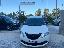 LANCIA Ypsilon 1.0 FireFly 5pS&S Hyb. Eco Silv.