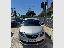 LANCIA Ypsilon 1.0 FireFly 5p.S&S Hyb. Eco Gold