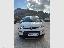 FIAT Panda 1.0 FireFly S&S Hybrid Red
