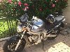 Vendo moto Yamaha Fz6 ottimo affare